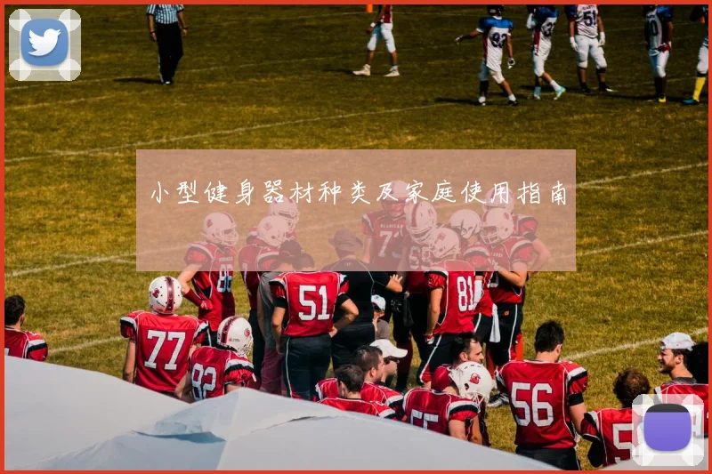 小型健身器材种类及家庭使用指南